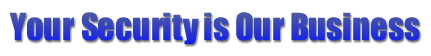 security systems new york